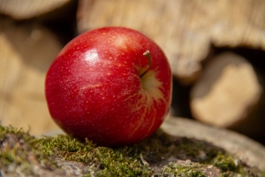 Appel rood
